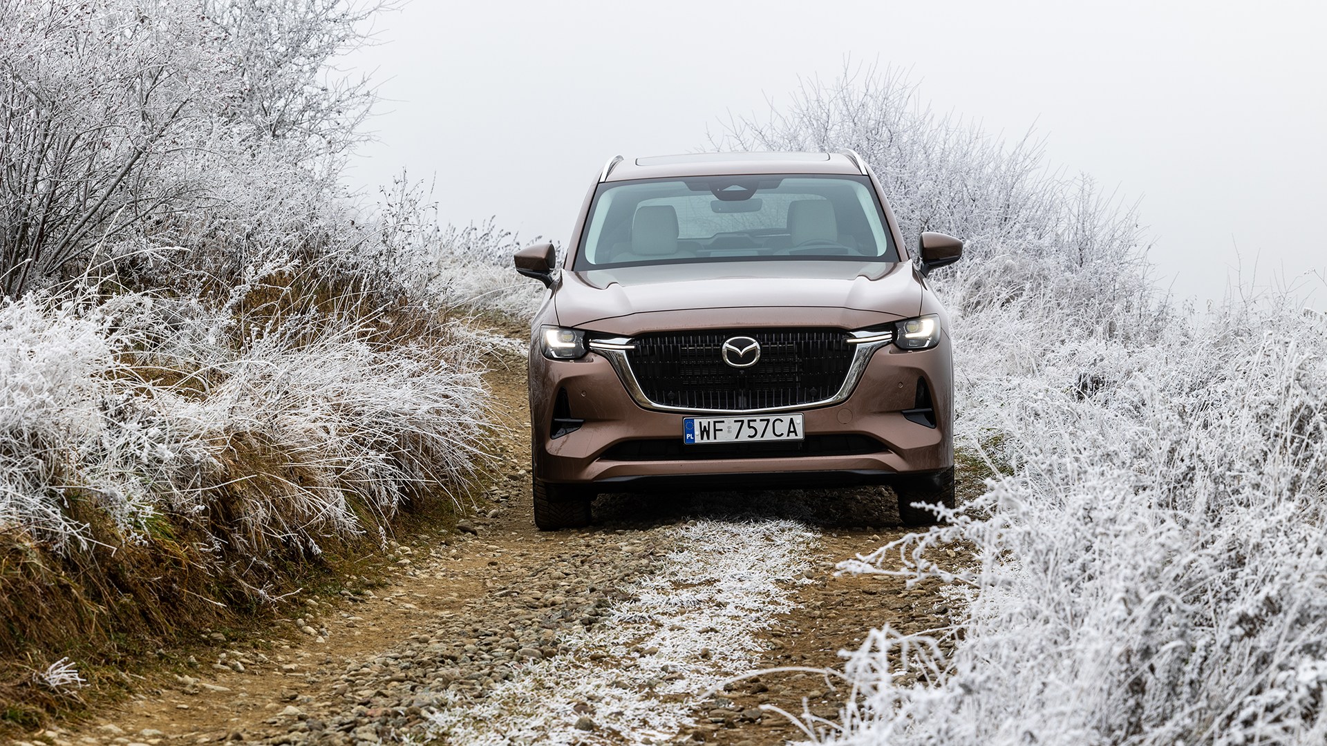 Modelul Mazda pe care ți-l dorești, acum cu discount-uri mari și livrare imediată